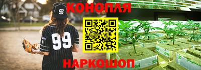 бошки Ливны