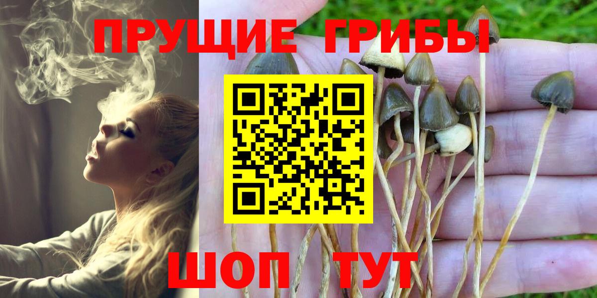 Галлюциногенные грибы Cubensis Жигулёвск
