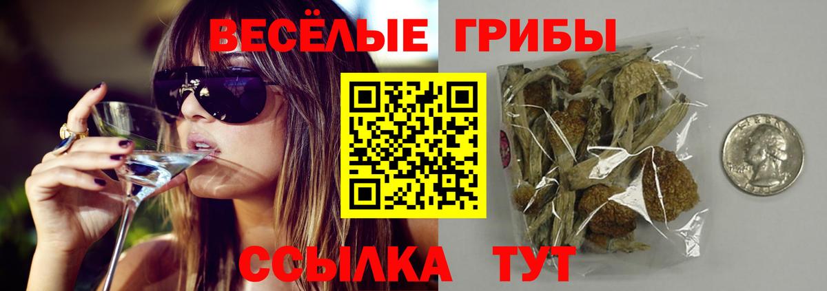 Псилоцибиновые грибы Cubensis  купить  цена  Жигулёвск  Вход с VPN 